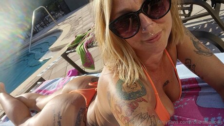 Rose Swallows joli modèle collection