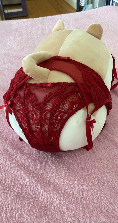 Zaykap jolie étoile des photos