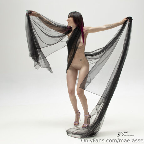 Maepurple Off étoile parfaite photos