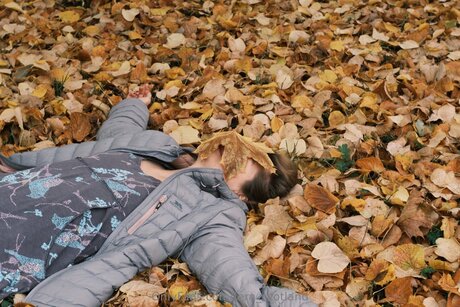 Fern Scotland étoile gratuite archive