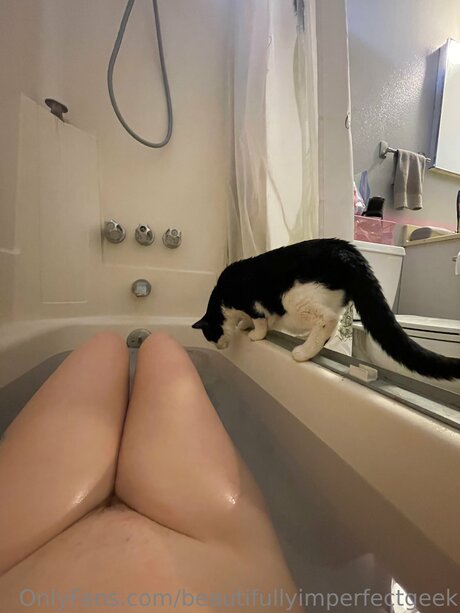 Beautifullyimperfectgeek star du porno de haute qualité photos