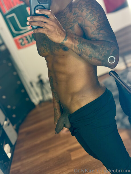 Leobrixxx star érotique archive