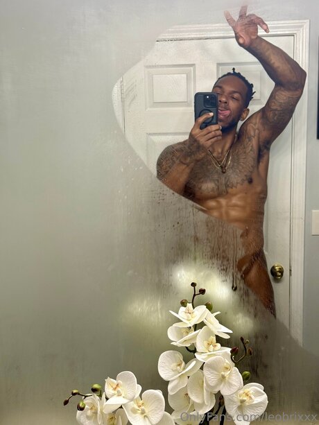 Leobrixxx star du sexe images