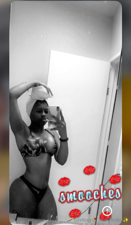 Favobsession star du porno belle collection