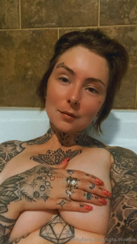 Sabyra étoile adulte des photos