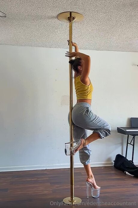 Edentheaccountant nus de stars du porno images