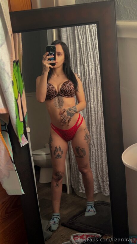 Lizardraja belle étoile galerie