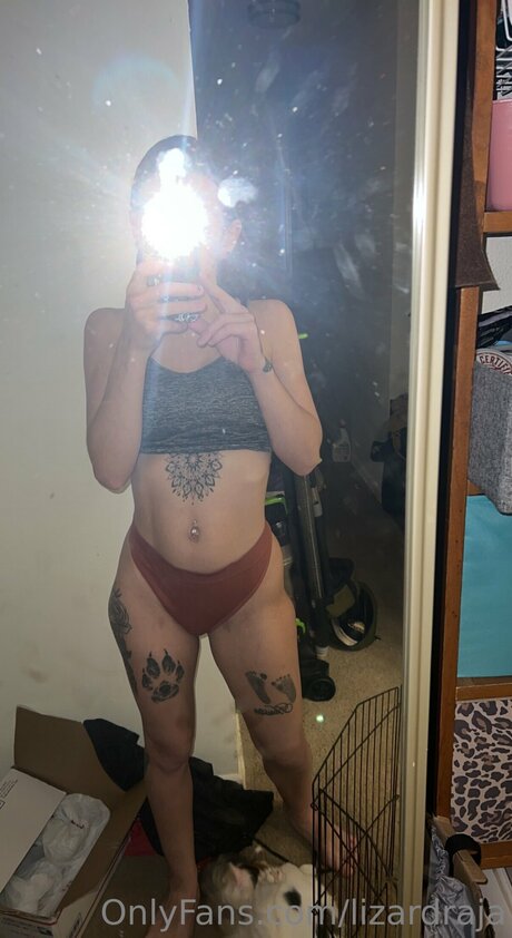 Lizardraja modèle de haute qualité photo