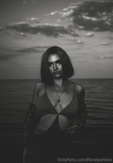 Floralpantiez sexe star collection