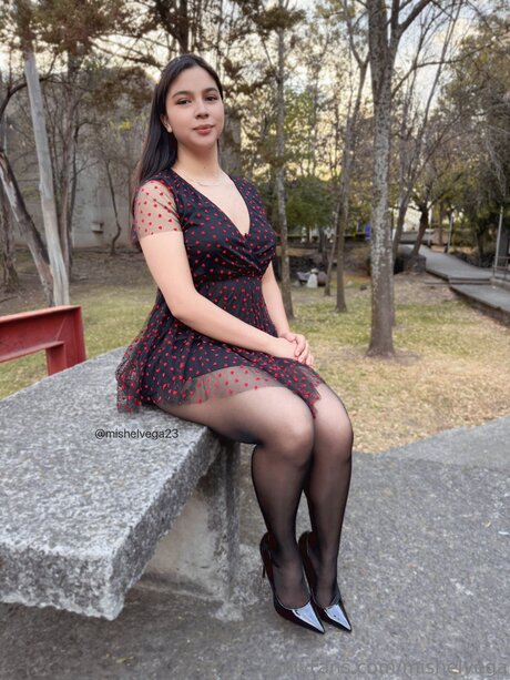 Mishelvega beau modèle img