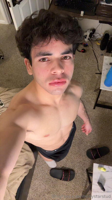 Meltystarstud modèle chaud galerie