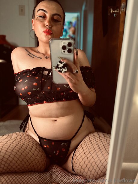 Kikiwflower haut étoile galerie