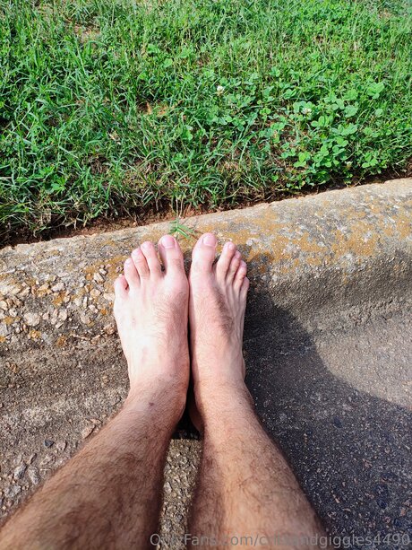 Critsandgiggles4490 star du porno images