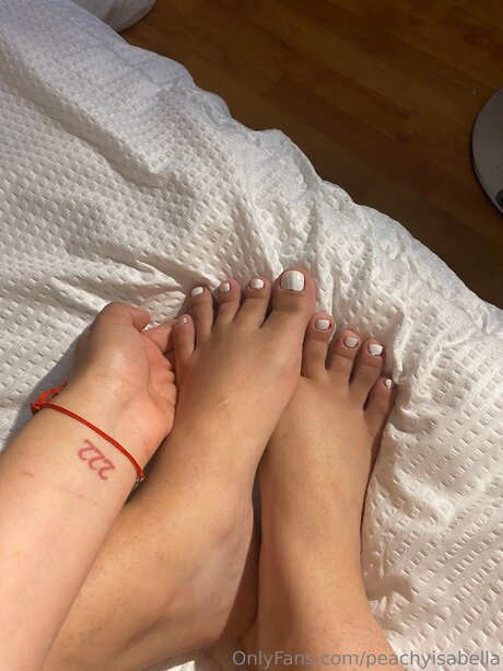 Morceel étoile exclusive collection