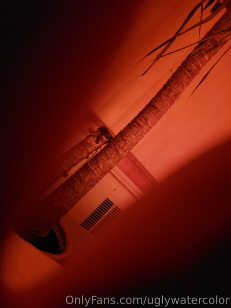 Uglywatercolor étoile adulte image