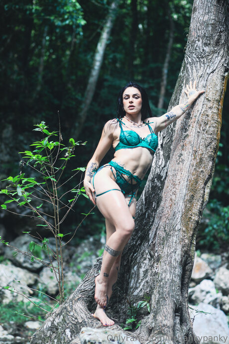 Itshankypanky nus de stars du porno images