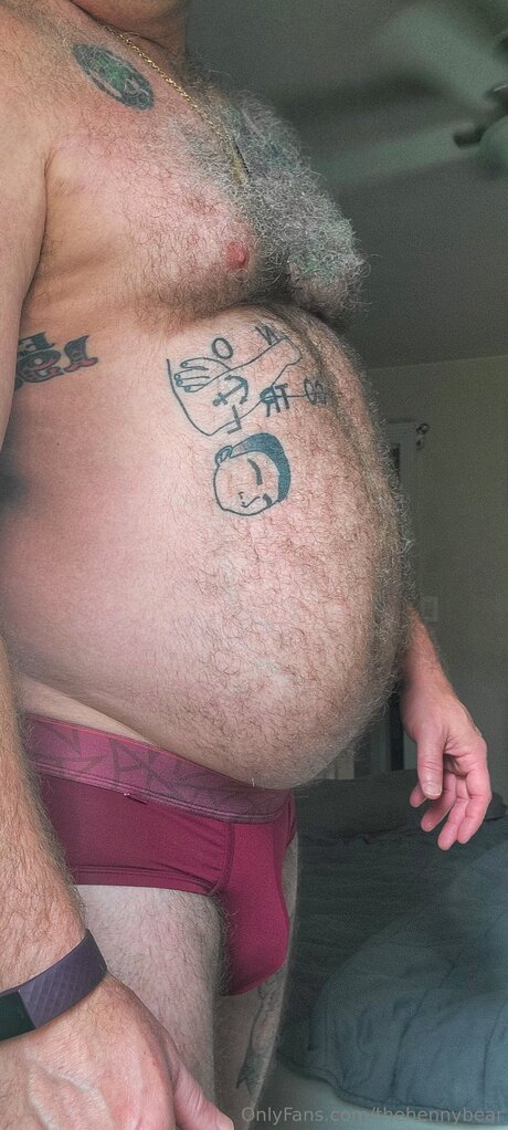 Thehennybear haut étoile galeries
