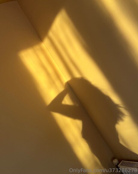 U373286278 star du porno belle des photos