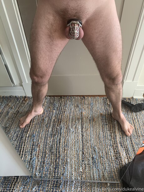 Dukealvine étoile chaude images