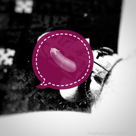 Dukealvine modèle sympa img