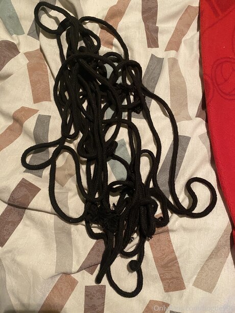 Hogtie999 étoile de l'art image