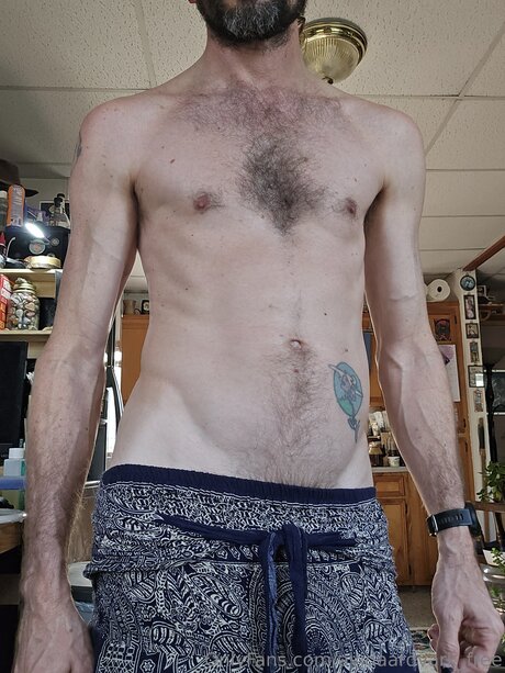 Avidaardvark Free star du porno belle galerie