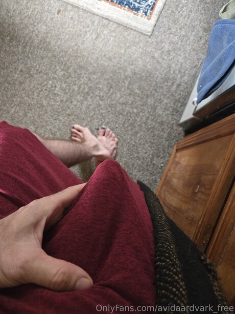 Avidaardvark Free modèle hd photos