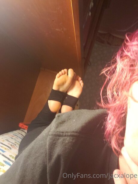 Jacxalope star du sexe img