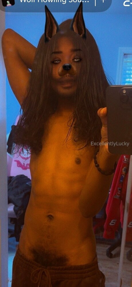 Excellentlylucky art star du porno galerie