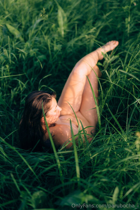 Parubocha I meilleure étoile galeries