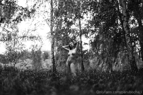 Parubocha I étoile adulte collection