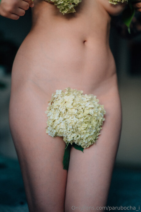 anulingus bbc uniquementfans sexe artistique archive