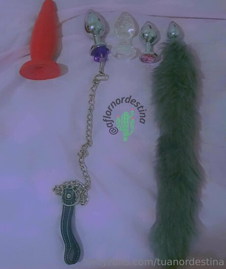 Tuanordestina modèle pornographique images