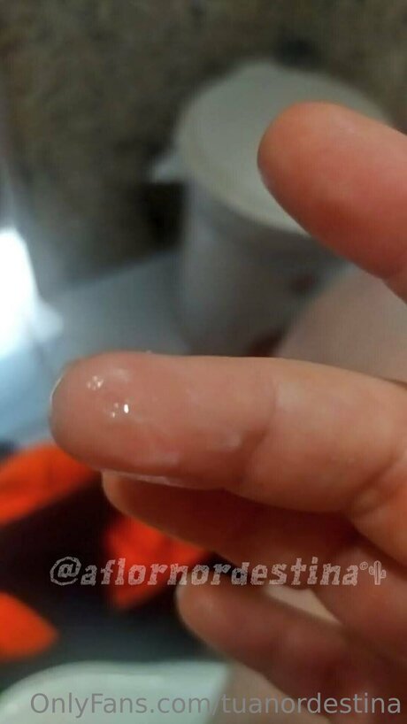 Tuanordestina star exclusive img