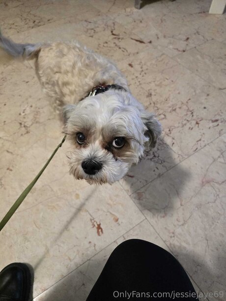 Jessiejaye69 modèle magnifique img