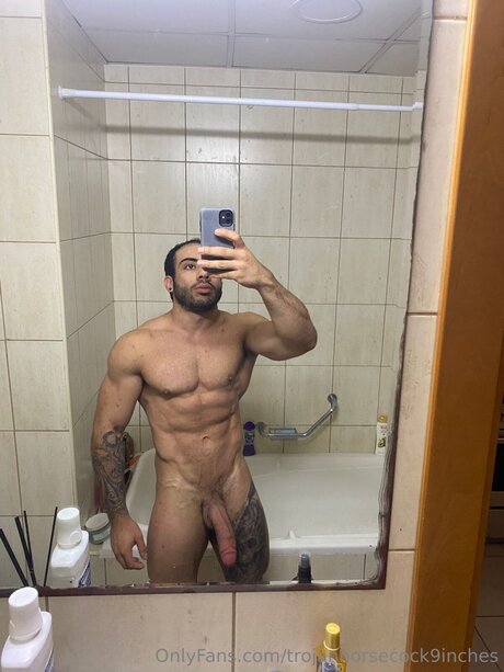 Trojanhorsecock9inches Profilfoto