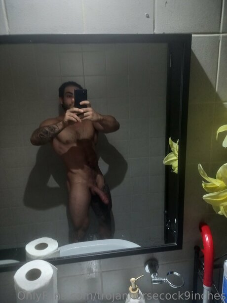 Trojanhorsecock9inches étoile de haute qualité galeries