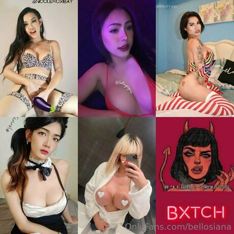 Bellosiana Fotoaufnahmen