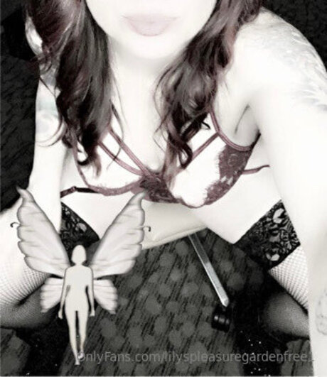 Lilyspleasuregardenfree1 beau modèle img