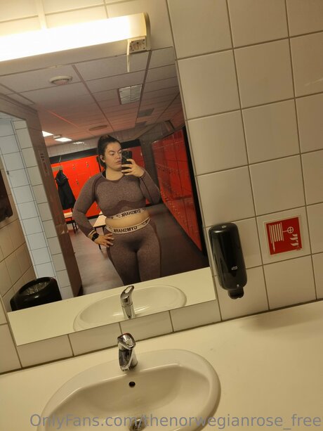 Thenorwegianrose Free étoile galerie