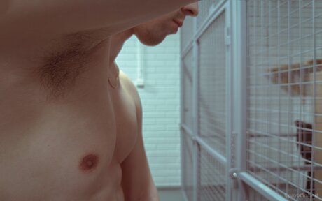 Gayoffinland étoile adulte galerie