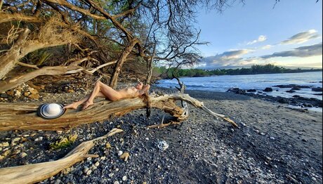 Mnmassager étoile xxx collection