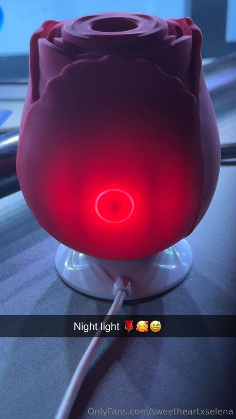 Sweetheartxselena actrice parfaite image