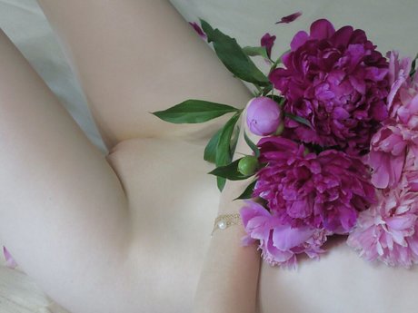 Gertruda belle star du porno des photos