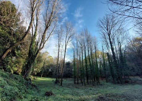 Wet Lucy Baby Profilfoto