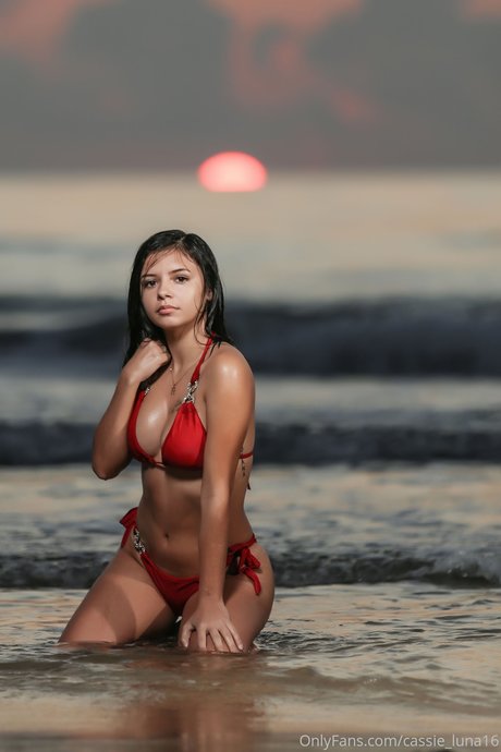 Cassie Luna star du sexe galeries