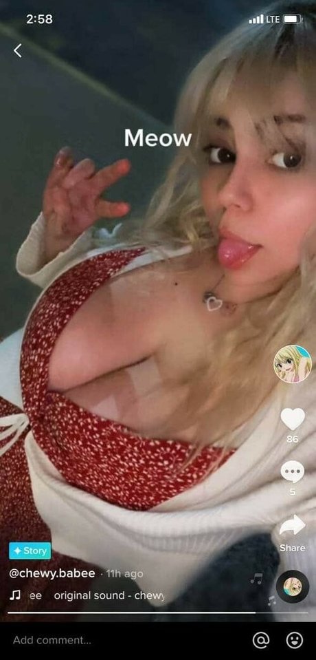 Chewys melons modèle exclusif galerie