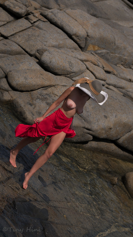 fans de cire uniquement hd jolie image