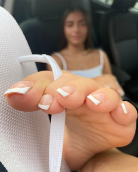 Daphsilksoles étoile hd img