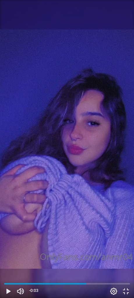 Anmr04 modèle hd galerie